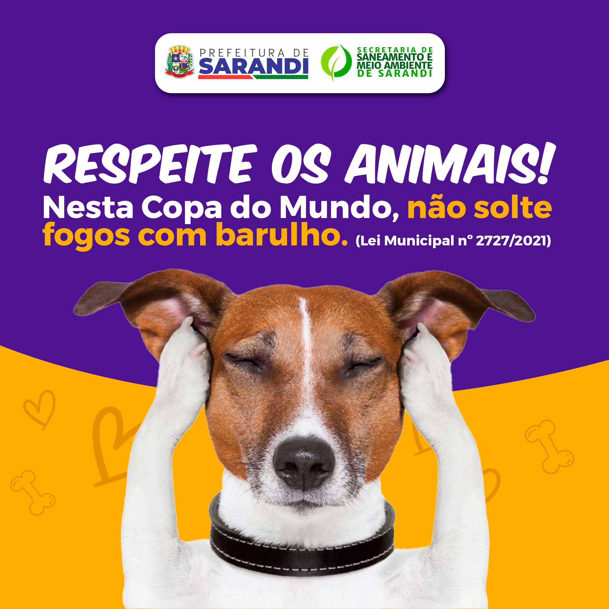 Secretaria de Meio Ambiente orienta sobre fogos de artifícios nas comemorações da Copa do Mundo