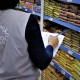 Procon de Sarandi aponta diferença de até 124% nos preços de produtos para festa junina