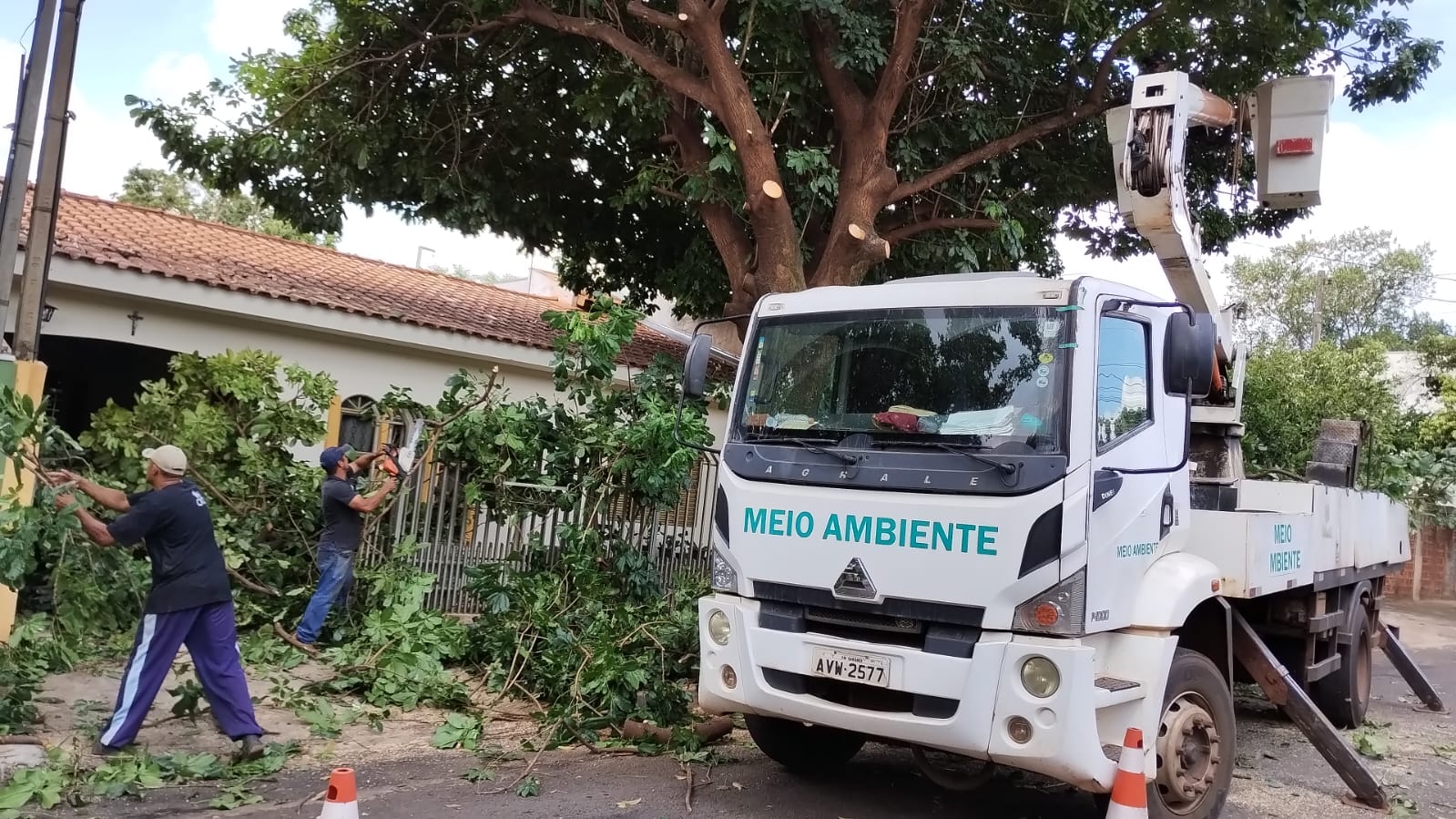 PODA E CORTE DE ÁRVORES SÃO REALIZADAS PELA SECRETARIA DE MEIO AMBIENTE