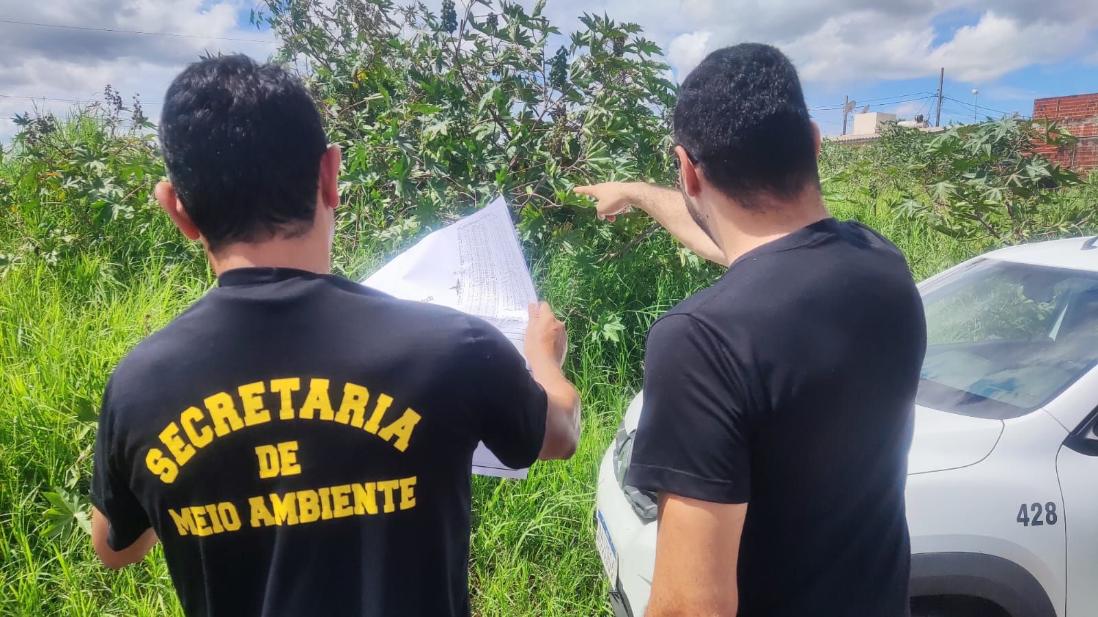 Secretaria de Meio Ambiente intensifica a fiscalização em terrenos com mato alto ou detritos.