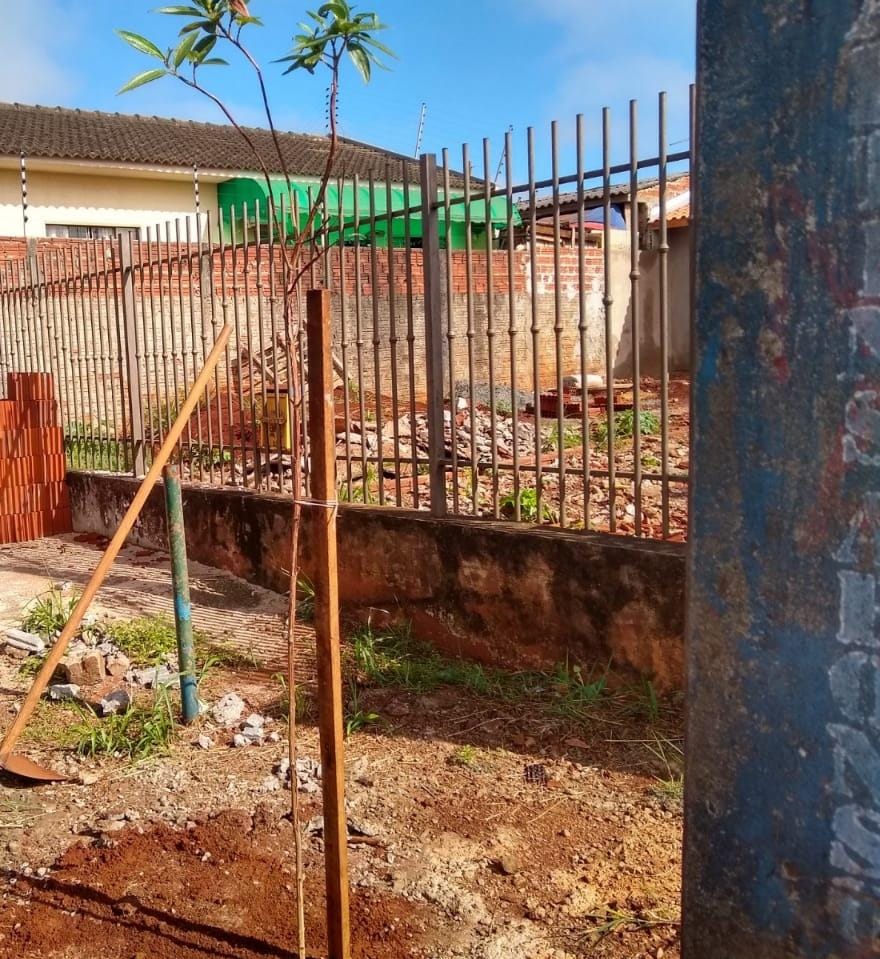 Secretaria de Meio Ambiente realiza plantio de mudas na área urbana de Sarandi