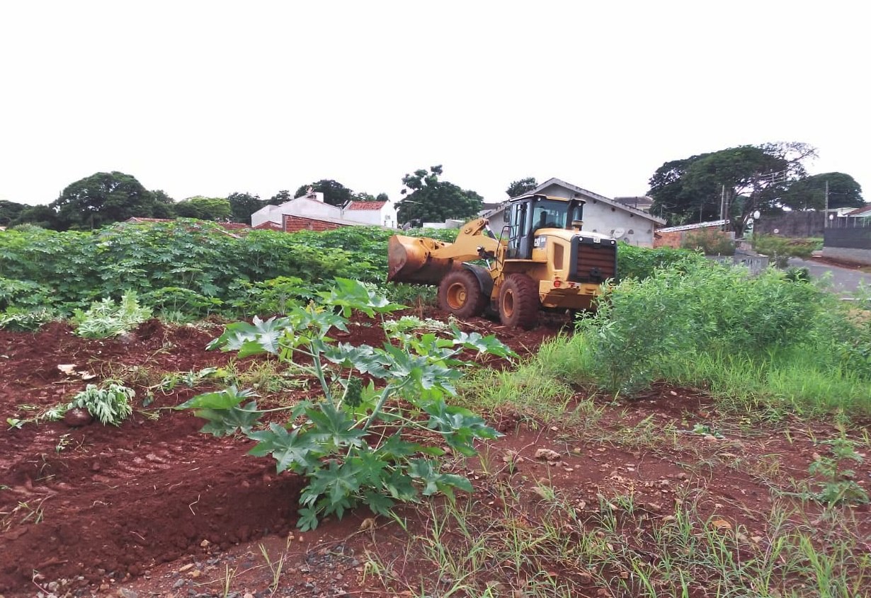 Limpeza do terreno da Avenida Deputado Borsari Neto