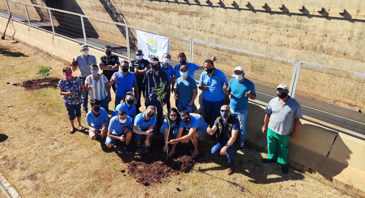 Secretaria de Saneamento e Meio Ambiente de Sarandi em parceria com APAE realiza plantio de 205 mudas