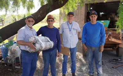 Agricultores de Sarandi recebem estacas de uva livres de virose