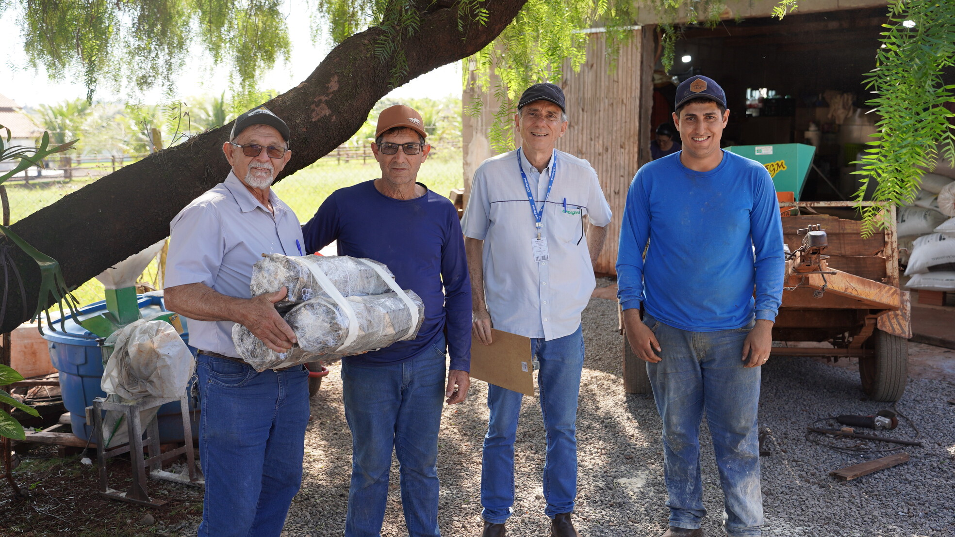 Agricultores de Sarandi recebem estacas de uva livres de virose