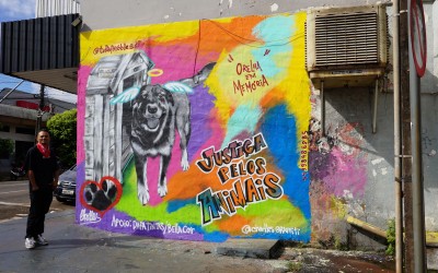 Arte urbana que conscientiza: grafite em Sarandi transforma protesto em mensagem contra maus-tratos animais