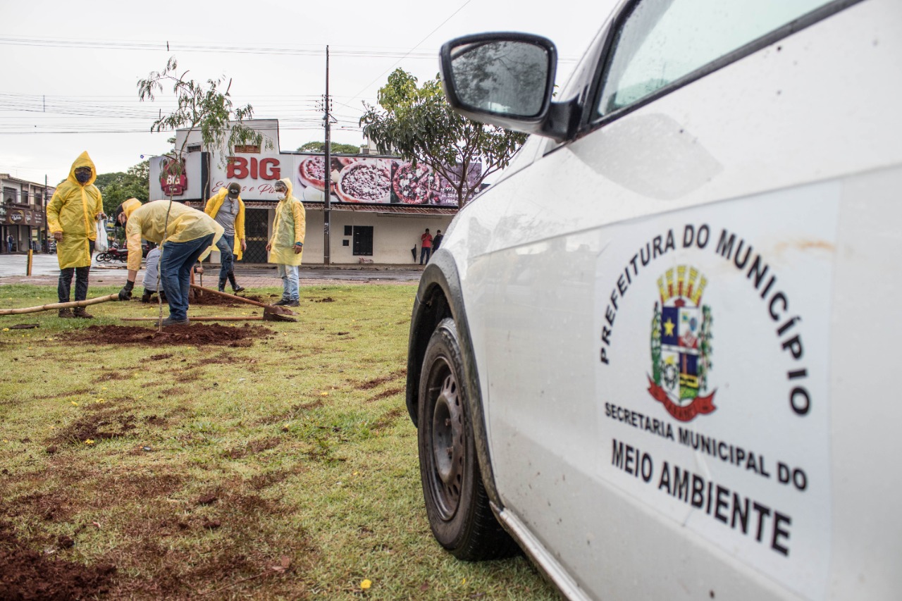 Secretaria de Saneamento e Meio Ambiente realiza plantio de mudas em comemoração aos 40 anos do nosso Município